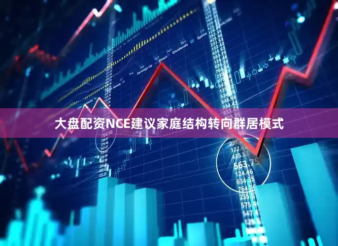 大盘配资NCE建议家庭结构转向群居模式