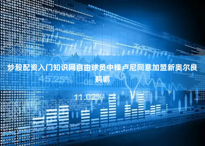 炒股配资入门知识网自由球员中锋卢尼同意加盟新奥尔良鹈鹕