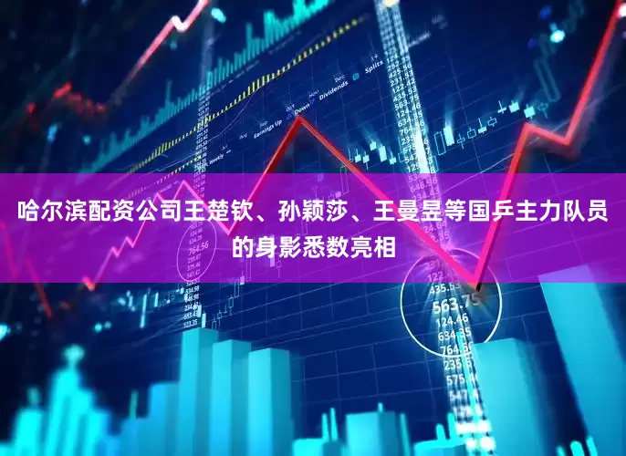 哈尔滨配资公司王楚钦、孙颖莎、王曼昱等国乒主力队员的身影悉数亮相