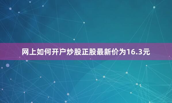 网上如何开户炒股正股最新价为16.3元