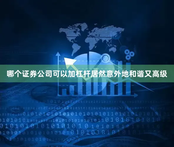 哪个证券公司可以加杠杆居然意外地和谐又高级