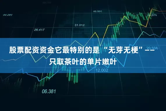 股票配资资金它最特别的是 “无芽无梗”—— 只取茶叶的单片嫩叶