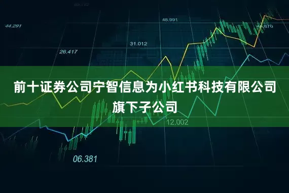 前十证券公司宁智信息为小红书科技有限公司旗下子公司